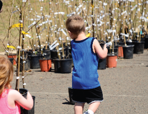 Community Tree Recovery