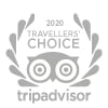 Trip advisor 2020