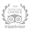 Trip advisor 2020