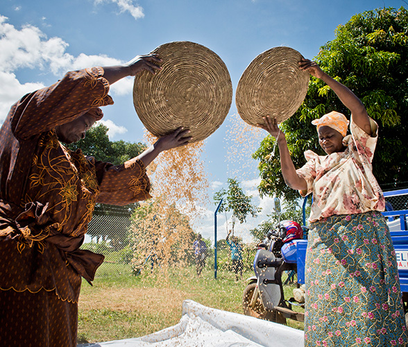 Supporting Small Holder Farmers