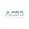 Aces Wildlife Rescue, Belize