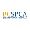 British Columbia SPCA