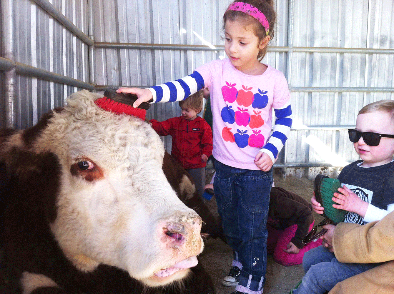 The Gentle Barn Kind Traveler